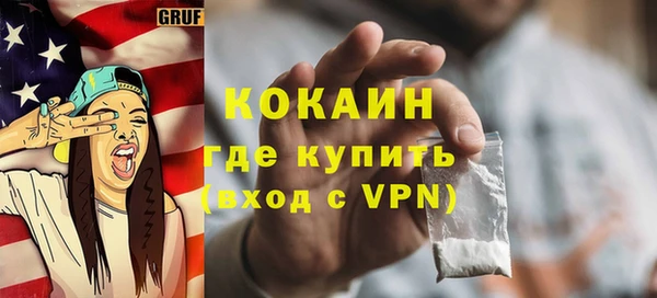 прущие грибы Богородск