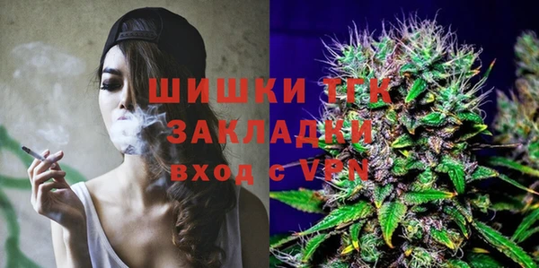 прущие грибы Богородск