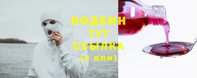 прущие грибы Богородск
