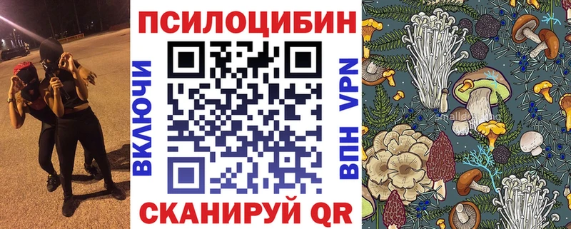 Купить где  Людиново  Галлюциногенные грибы ЛСД 